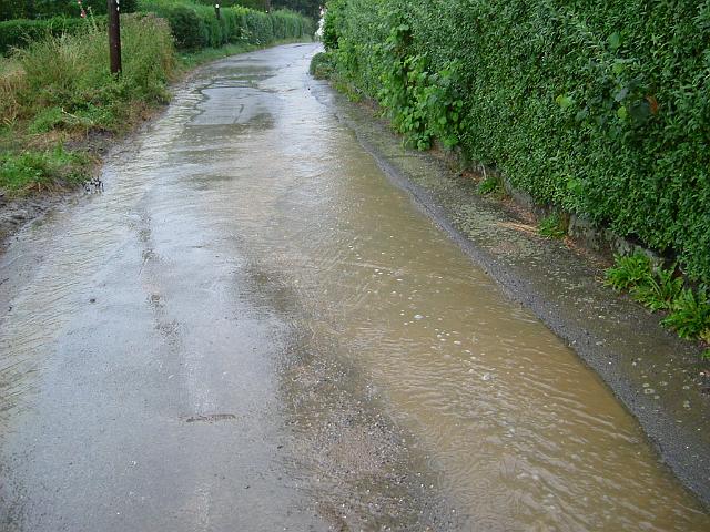 2004_0812_191344 (4).JPG - Rhönweg (ehemaliger Salinger Weg) im alten Verlauf Richtung Norden